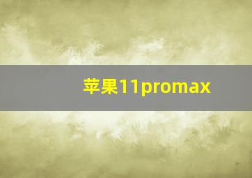 苹果11promax